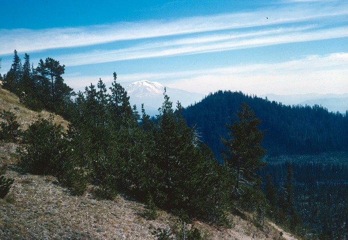 MtStHelens4-1968