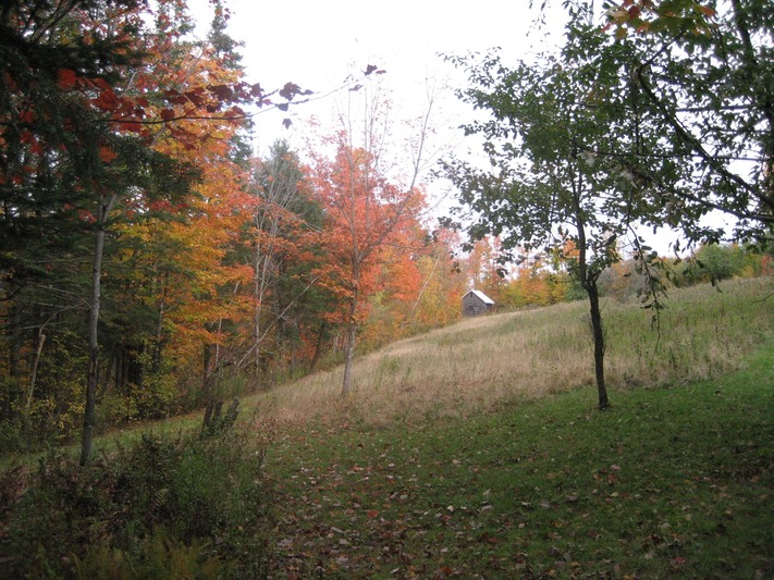 IMG 0190