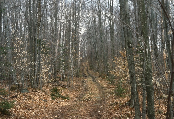 Road15
